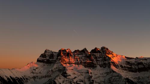 dentsdumidi